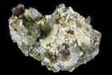 Brookite and Quartz Crystal Association- Pakistan #111318-2